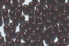 25 4mm Maroon Swarovski Pearls